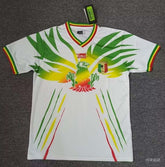 Mali national 2024 Africa Cup home game
